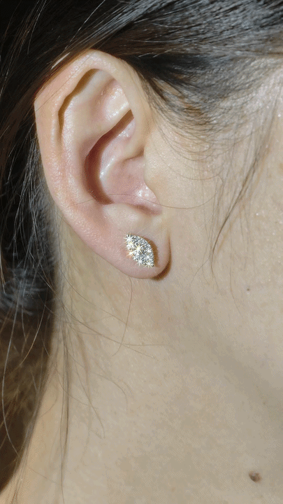 Diamond Earrings-WK4285