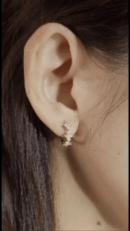 Diamond Earrings-WK4177