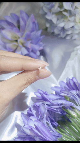 Star Diamond Earring (one piece)-WK4185@