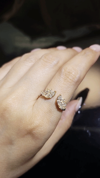 Angel's Wings Diamond Ring-WK4270