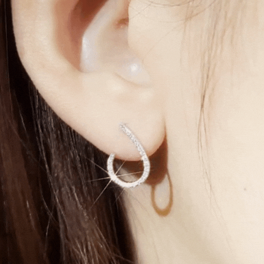 Diamond Earrings-WK4086