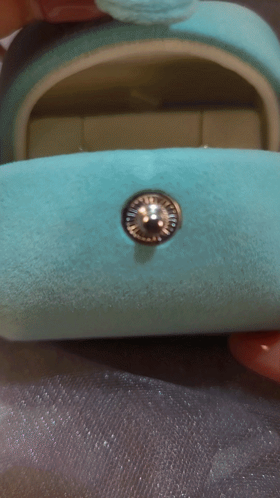 Diamond Earrings-WK4263
