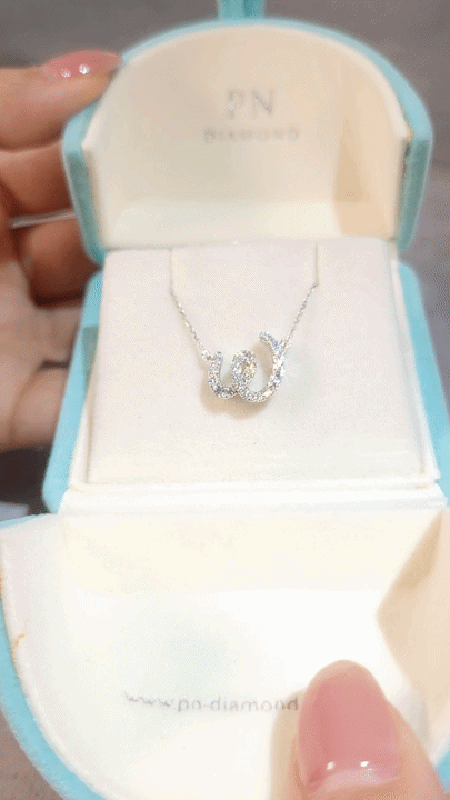 Letter W Diamond Necklace-WK4098AW@