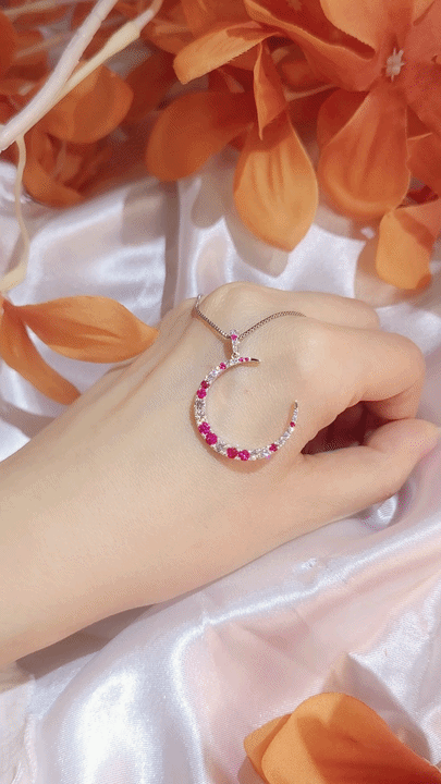 To The Moon and Back Ruby Diamond Pendant-WK3796RR