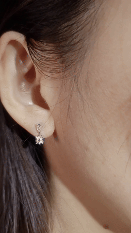Diamond Earrings-WK4224