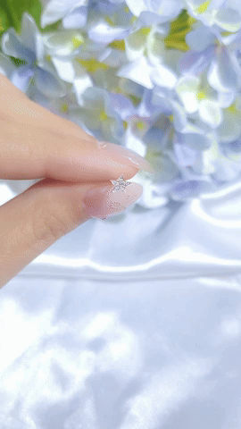 Diamond Star Earring (one piece)-WK2947