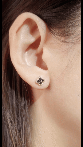 Black Diamond Earrings-WK4210RF@