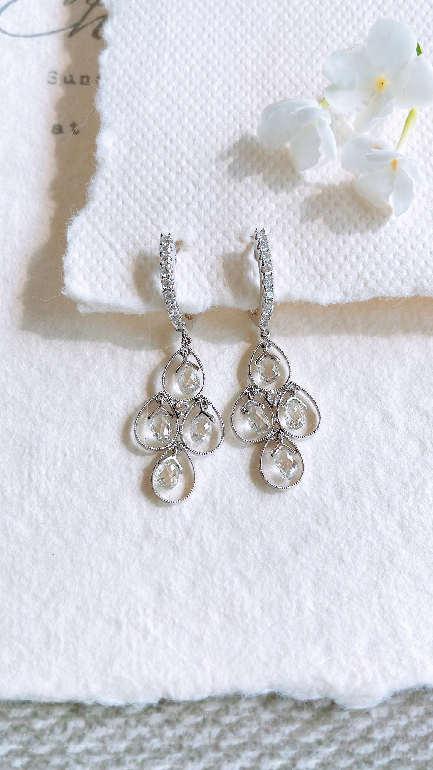 Dangle Diamond Earrings-WK2695