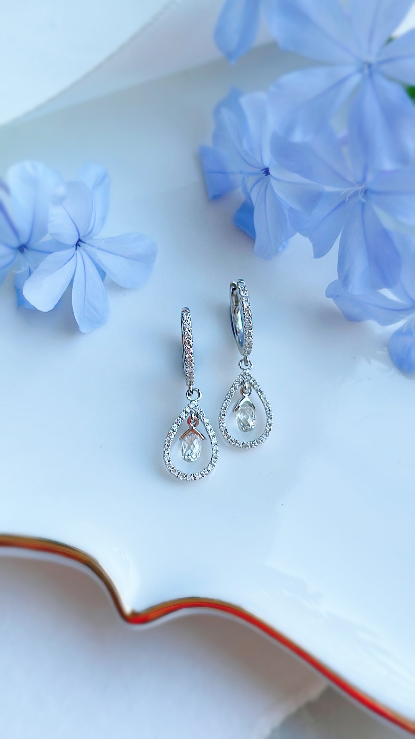 Dangle Diamond Earrings-ZCO00012252