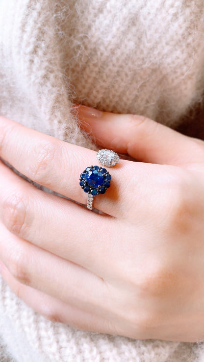 Hug Me Blue Sapphire and Diamond Ring(WK3398)