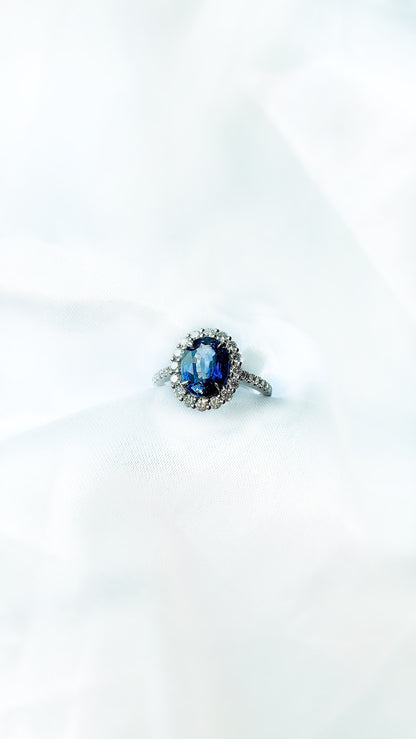 Blue Sapphire and Diamond Ring BFO00002645